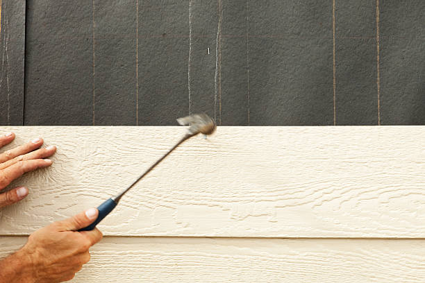 Best Insulated Siding Installation  in Sa Conejo, CA